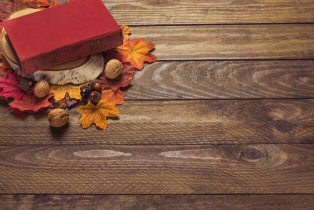 Leaves and nuts near old book