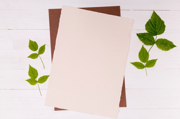 leaves and paper on wooden background 