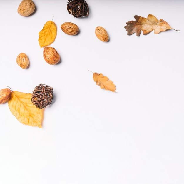 Leaves and peach kernels