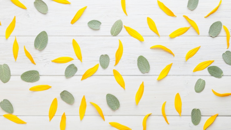 Free Photo leaves and petals background
