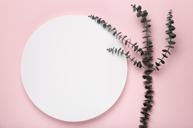 Free photo leaves on pink background with mock-up