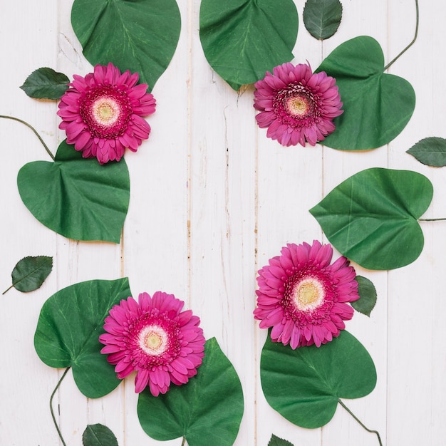 Free photo leaves and purple flowers