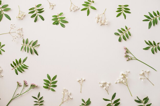 Leaves and small flowers