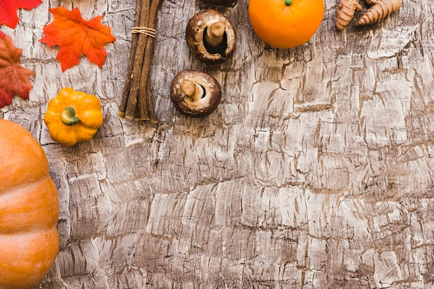 秋の食べ物の近くの葉と棒