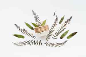 Free photo leaves tied with string isolated on white background