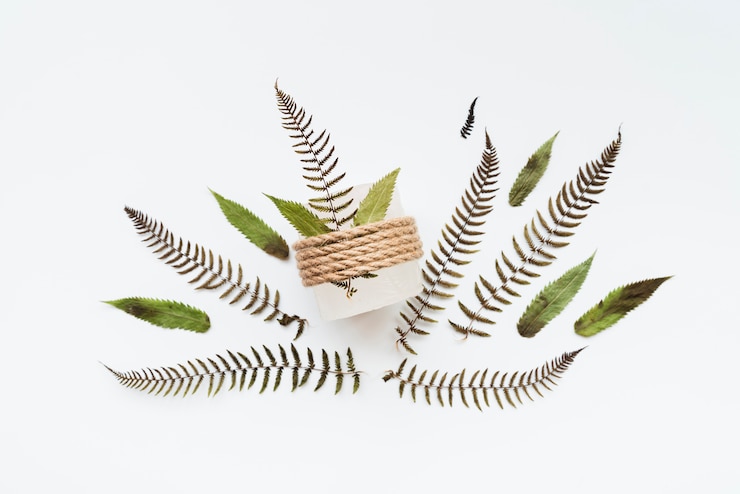 Free Photo leaves tied with string isolated on white background