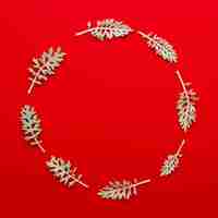 Free photo leaves twig arranged in circular frame on bright red background