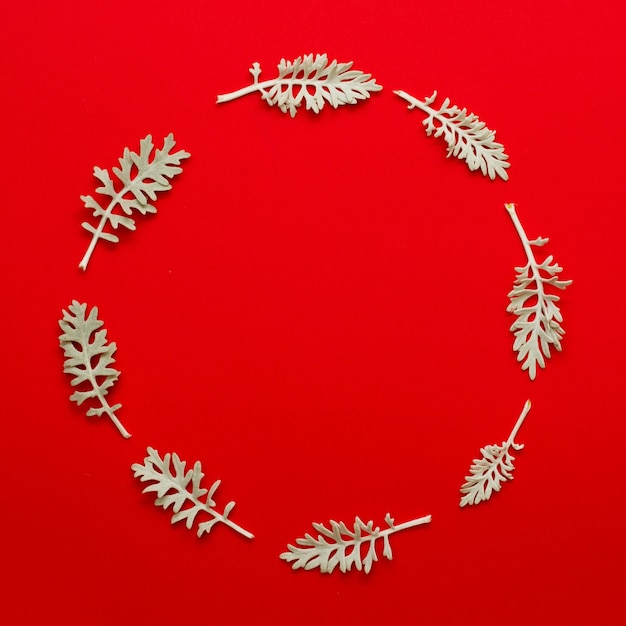 Leaves twig arranged in circular frame on bright red background