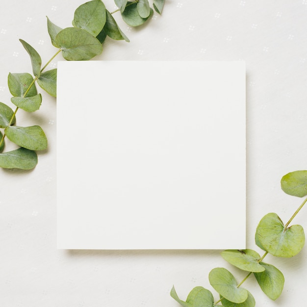 Leaves twigs on the corner of white wedding card against backdrop