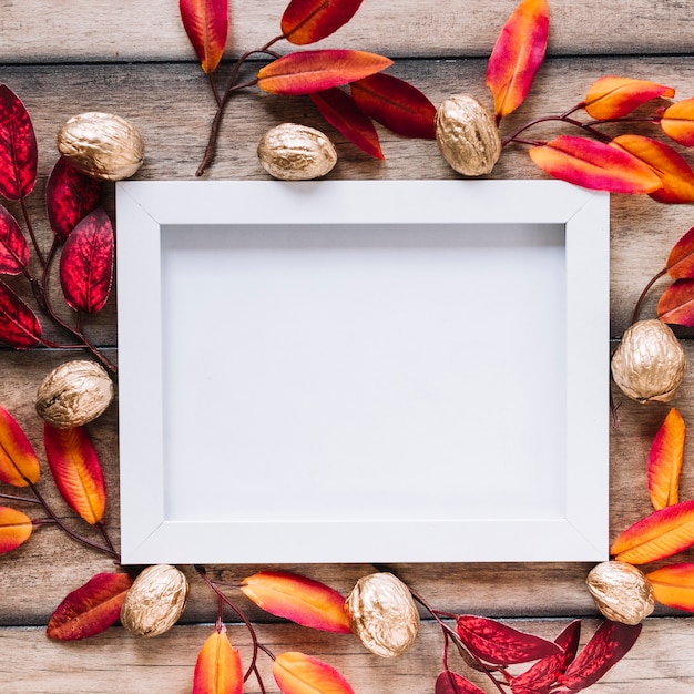 Free photo leaves and walnut around white frame
