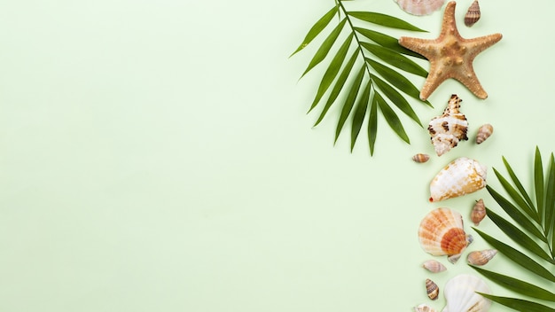 Leaves with starfish and shells