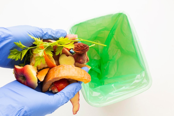 Free Photo leftover wasted food and person wearing gloves