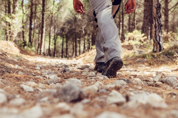 Leg view of hiker in forest