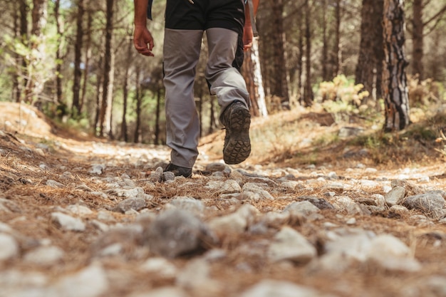 Leg view of man in forest