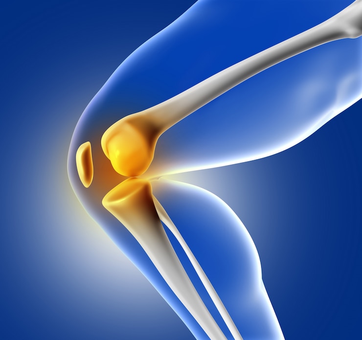 Free Photo leg with knee pain