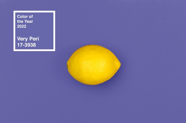 Lemon fruit on dark purple background top view