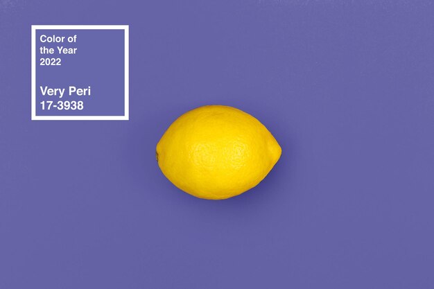 Lemon fruit on dark purple background top view