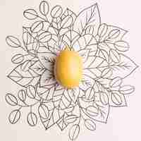 Free photo lemon over outline floral background