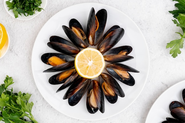 Lemon surrounded by mussels top view