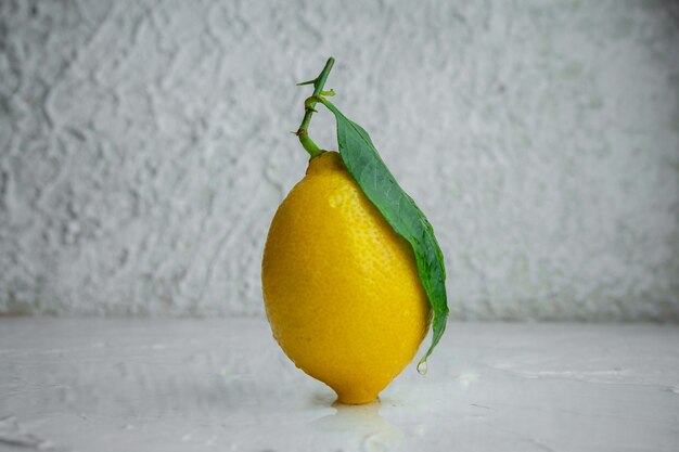 Lemon with leaves side view on a white textured background