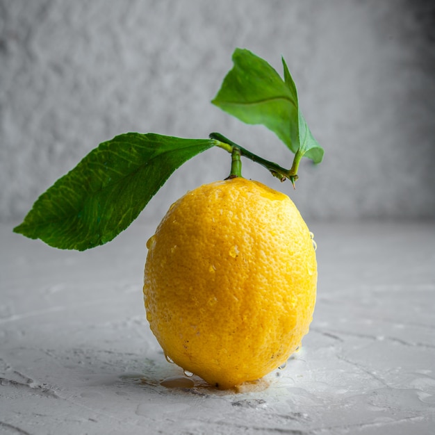 Lemon with leaves side view on a white textured background