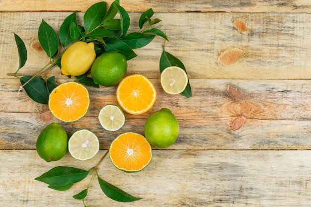 Lemons,limes and oranges with leaves