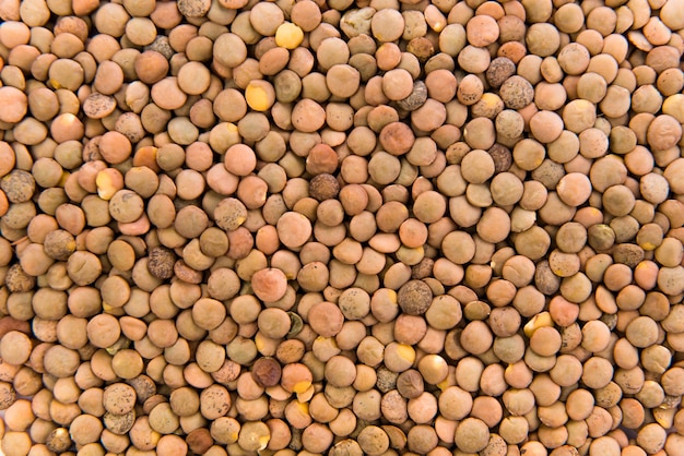 Lentils