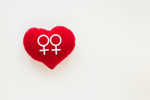 Lesbian couple icon on red heart