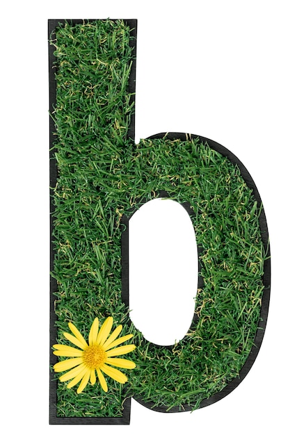 Free photo letter b made of green grass with flowers isolated on white