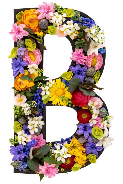 Free photo letter b made of real natural flowers and leaves on transparent background