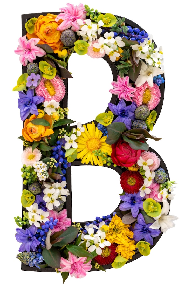 Free Photo letter b made of real natural flowers and leaves on white background isolated