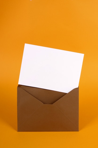 Letter in brown envelope