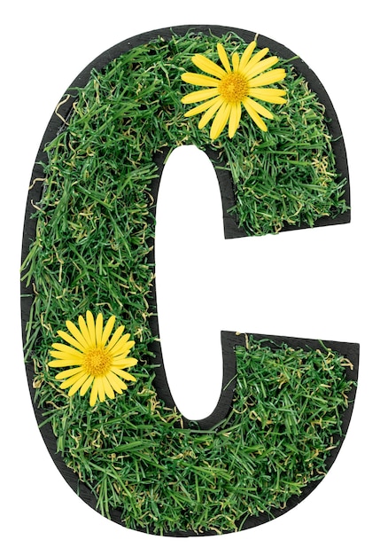 Free photo letter c made of green grass with flowers isolated on white
