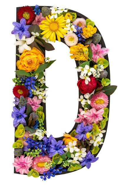 Letter d made of real natural flowers and leaves on white background isolated