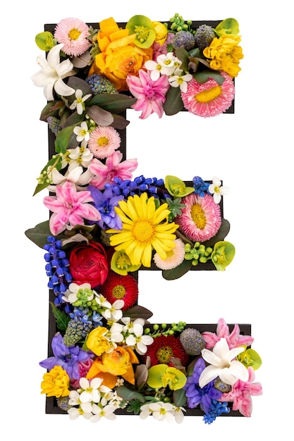 Letter e made of real natural flowers and leaves on white background isolated