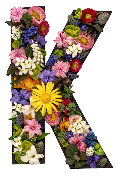 Letter k made of real natural flowers and leaves on white background isolated