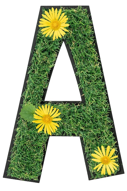 Free photo letter a made of green grass with flowers isolated on white