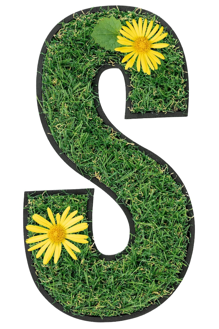 無料Photo 緑の草で作られたs文字で,花は白に隔離されています.