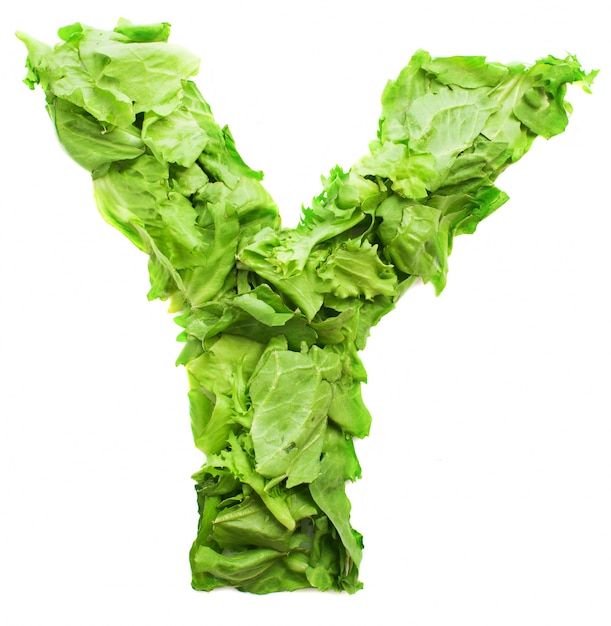 Letter y made with nutritious lettuce