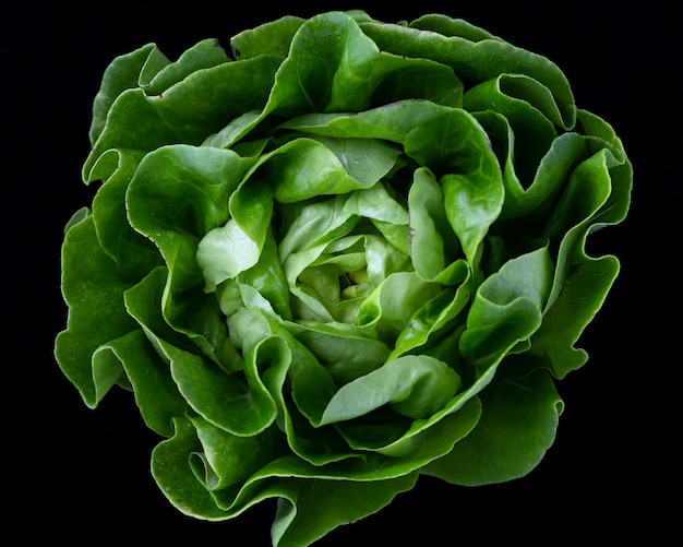 Free photo lettuce close-up top view on black