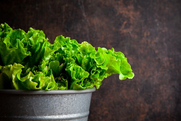 Lettuce in a steel bucket top view on a brown textured background