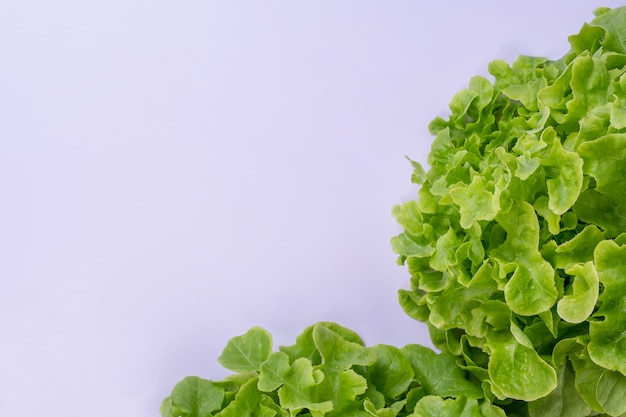 Free photo lettuce  that is placed on a white .