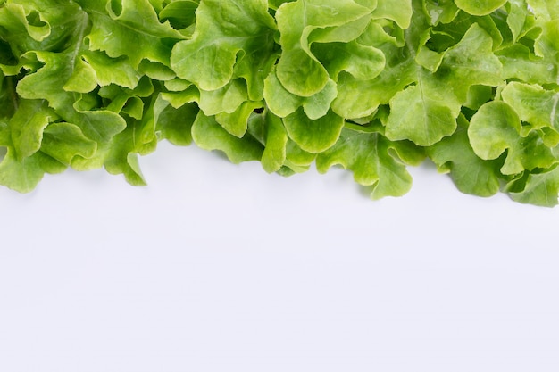 Lettuce  that is placed on a white .