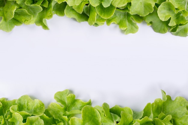 Free photo lettuce  that is placed on a white .