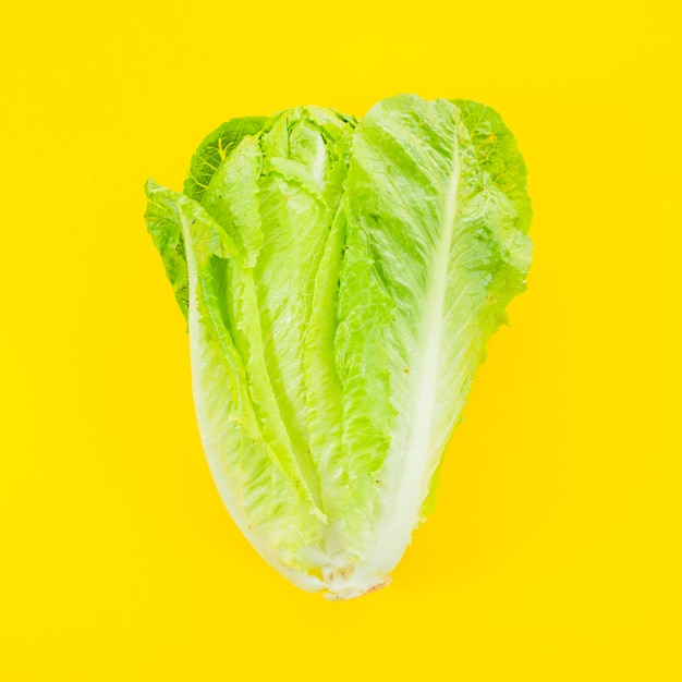 Lettuce