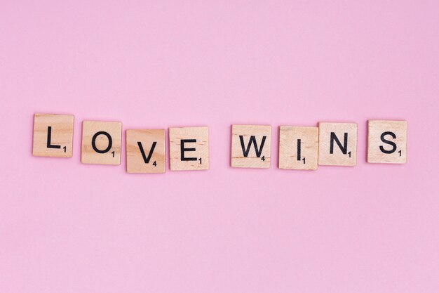LGBT motto LOVE WINS on pink background