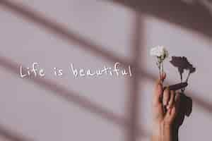 Free photo life is beautiful quote