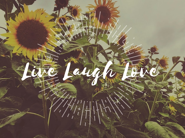 Life, Live, Love, Enjoy: Free Stock Photos