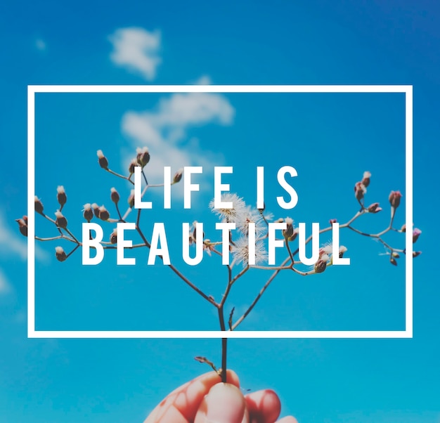 Free photo life motivation inspiratin positive vibes quote on flower and blue sky background