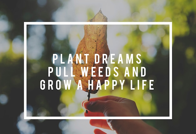 Free photo life motivation inspiratin positive vibes quote on nature leaf background